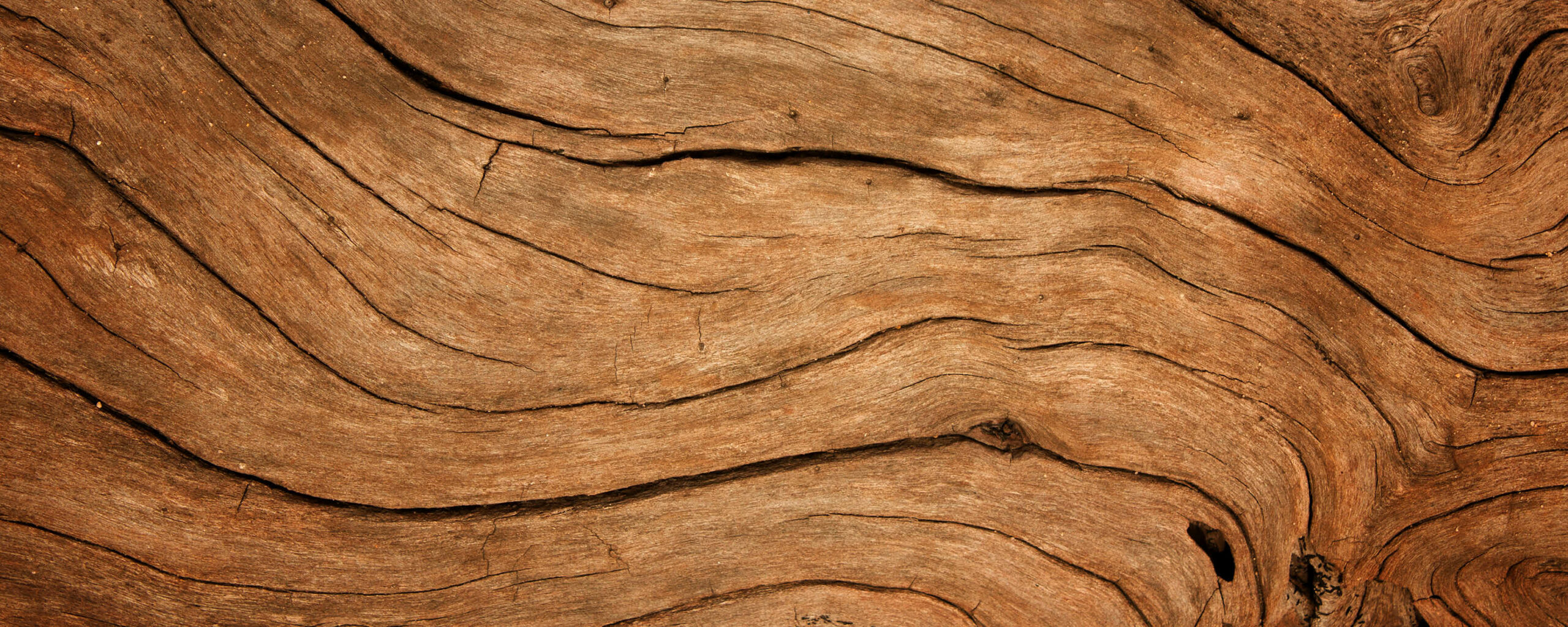 Holz verrissen